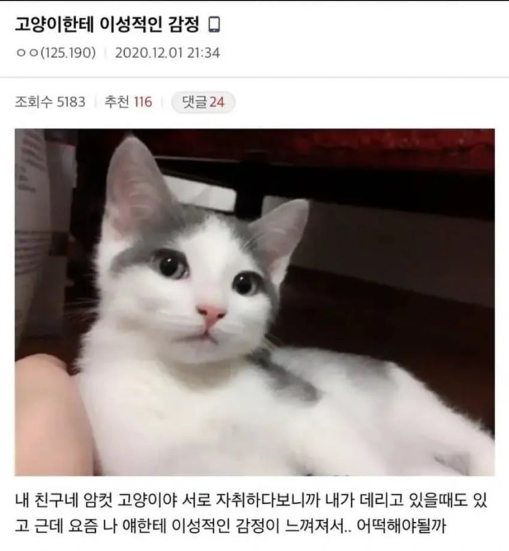  친구네집 암컷에게 이성적인 감정느낀 디씨인