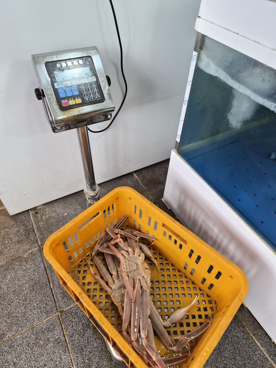 하이벳수산 내포직영점 사진 6
