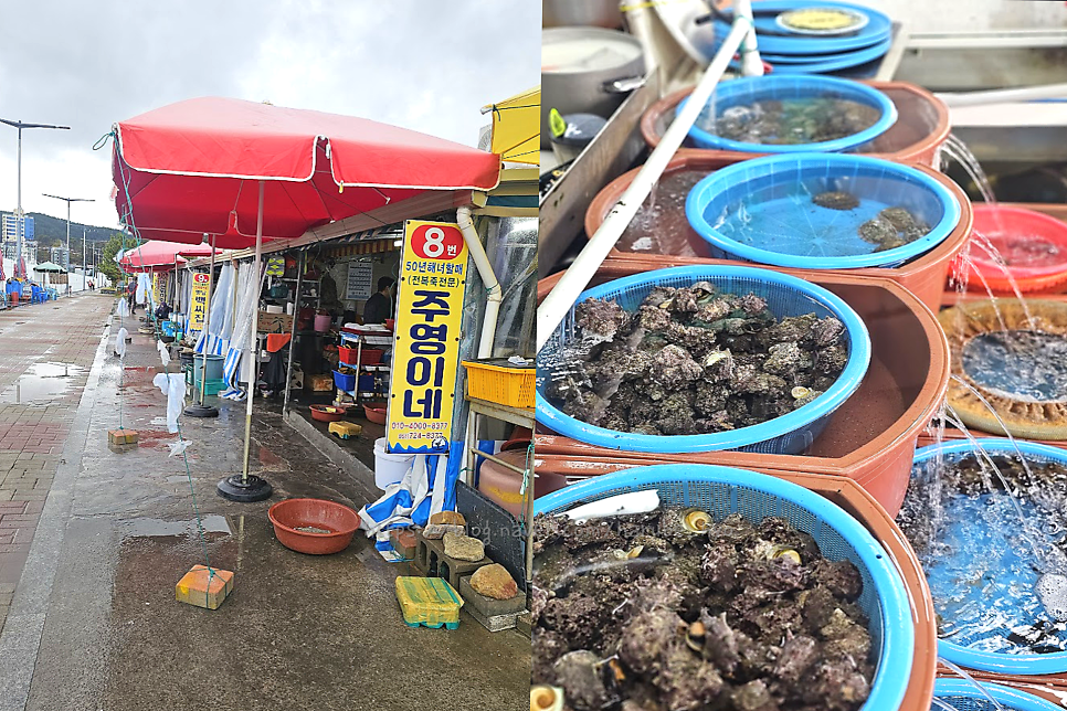 주영이네 사진 2