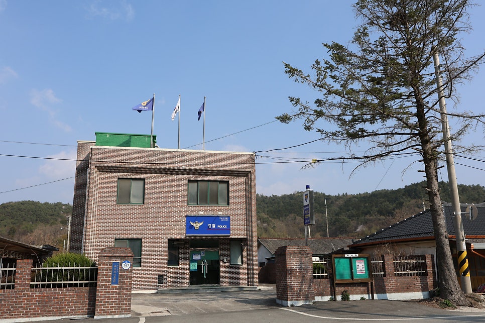 다도치안센터 사진 3