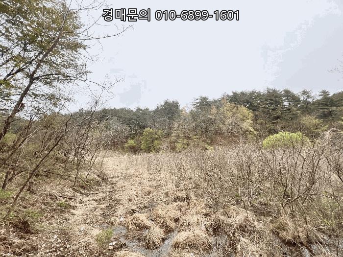  [강릉시 안현동] 토지 경매, 2025-30536 (맹지, 휴경지)