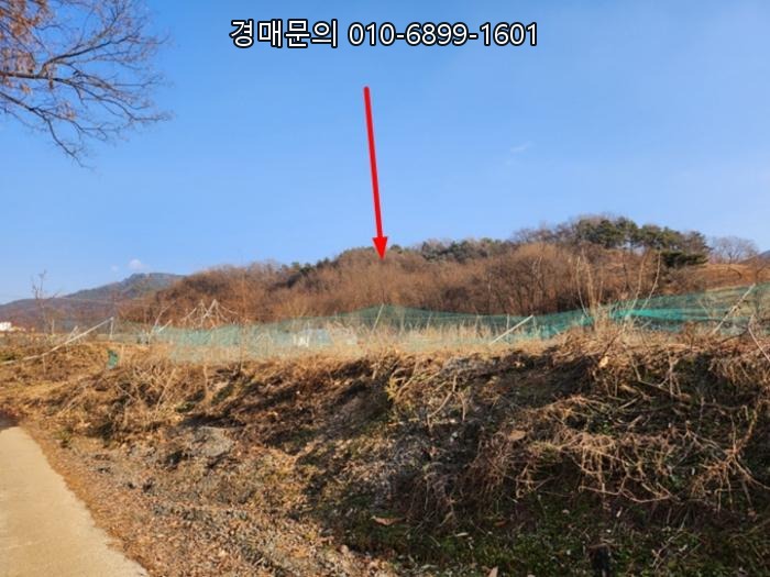  [충주 호암동] 임야 경매, 2024-36042