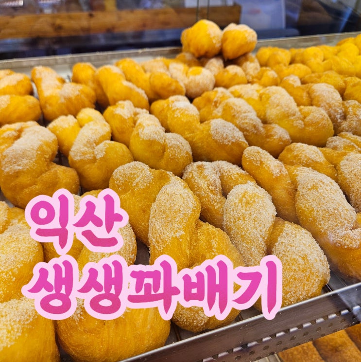  익산꽈배기 찐 맛집, 빵지순례 성공! 생생 꽈배기