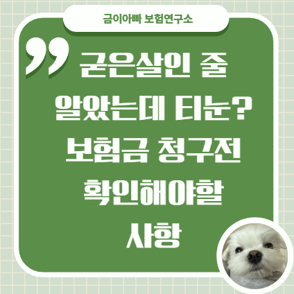 티눈 제거 수술 보험청구 전 확인해야할 사항 (질병코드,사유)