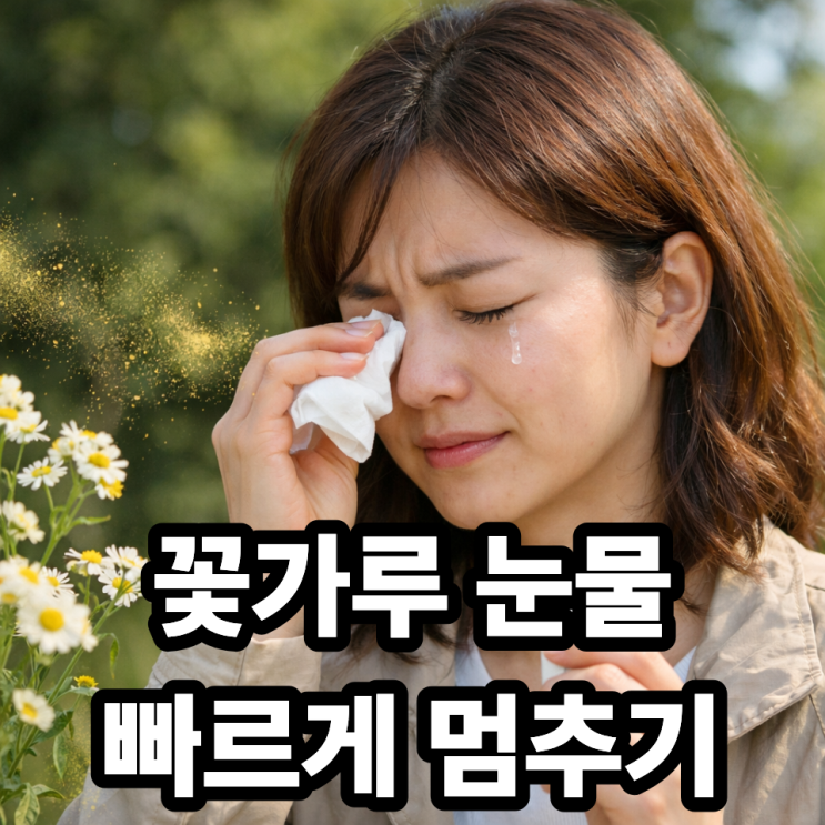  꽃가루 알레르기 눈물 멈추는 방법｜가려움·충혈 즉각 완화 꿀팁