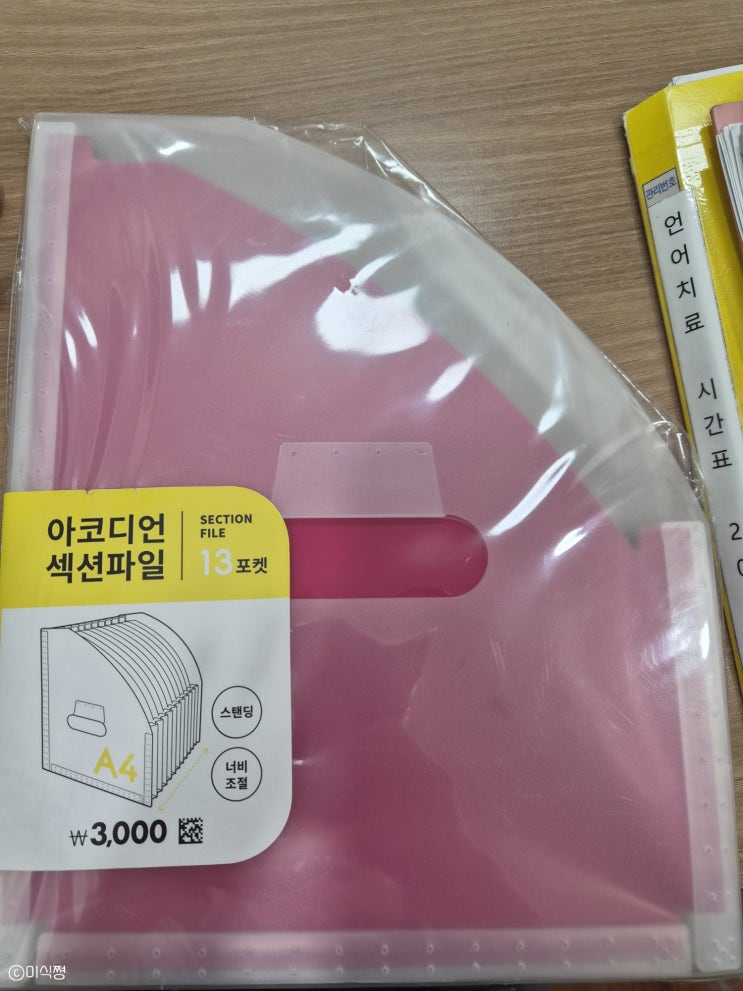 소소한 일상 ~  언어재활사 추천 서류 파일, 네일, 서프라이즈, 파손 배송...