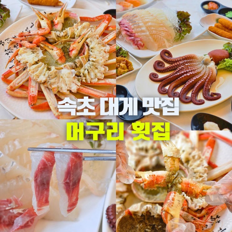  속초 대포항 대게 맛집 머구리 횟집 카시아 호텔 현지인 추천 핫플 애견동반식당