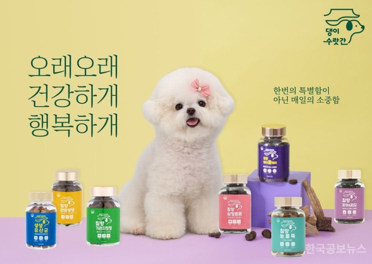 반려동물 영양제 '댕이수랏간', KBS 쿨FM '<b>조정식</b>의 FM대행진... 