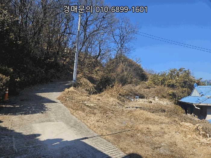  [대구 동구 봉무동] 대지 경매, 2025-601