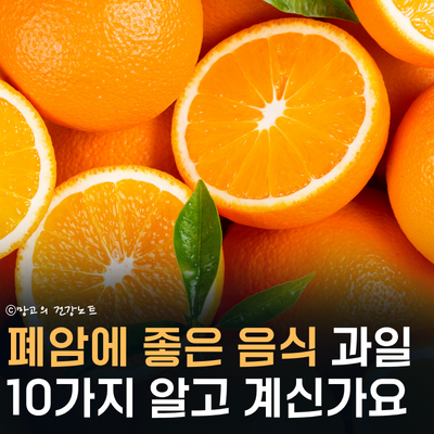 폐암에 좋은 음식들 과일 10가지 정리했습니다