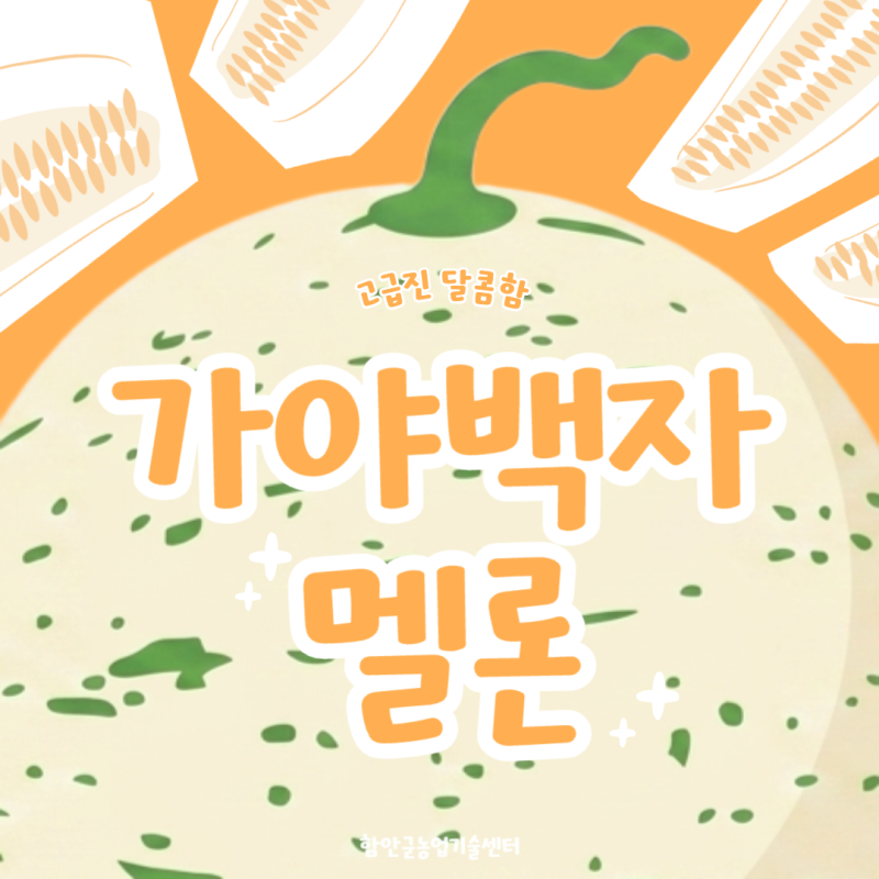 호피무늬 껍질 속 순백의 부드러움, 고당도 함안가야백자멜론