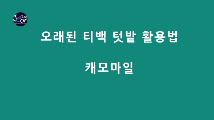  오래된 티백 텃밭 활용법_캐모마일