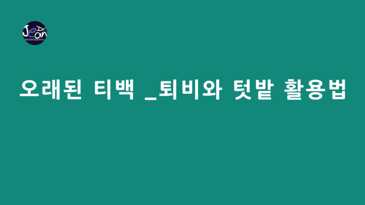 오래된 티백 _퇴비와 텃밭 활용법