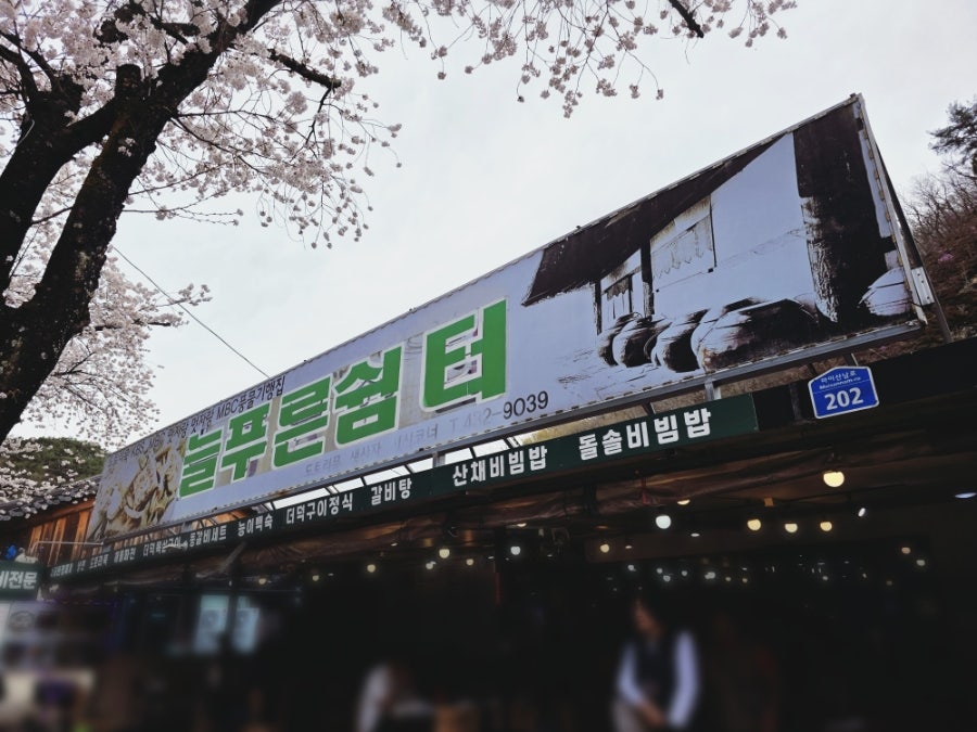 늘푸른쉼터 사진 1
