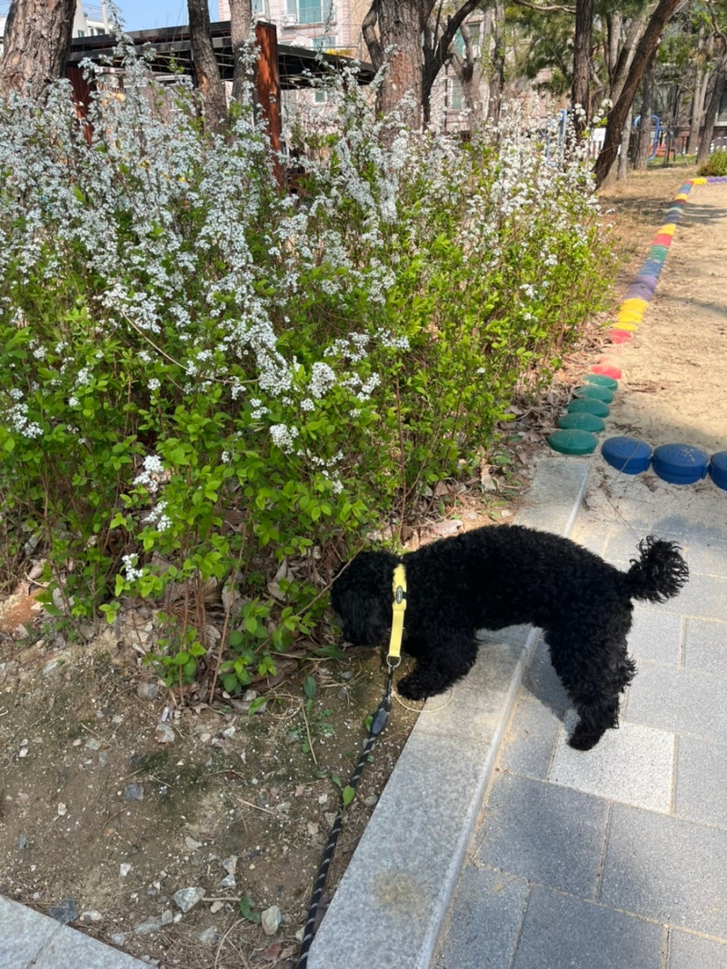 사진 4
