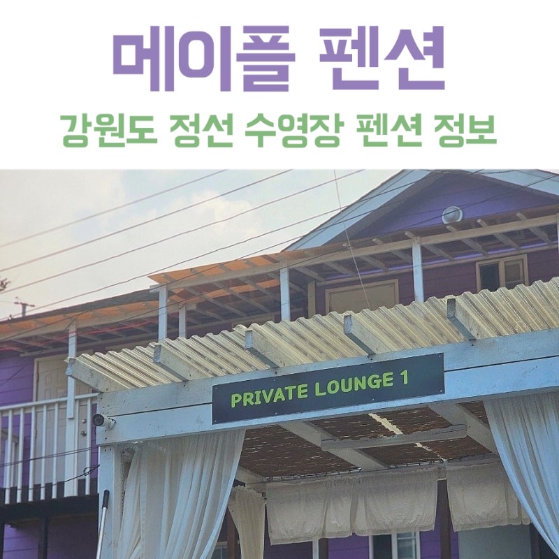 사진 4