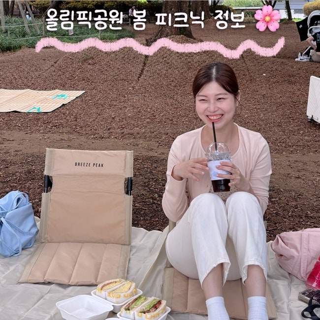 올림픽공원 피크닉 장소 나홀로나무 및 잔디광장 배달존, 주차장