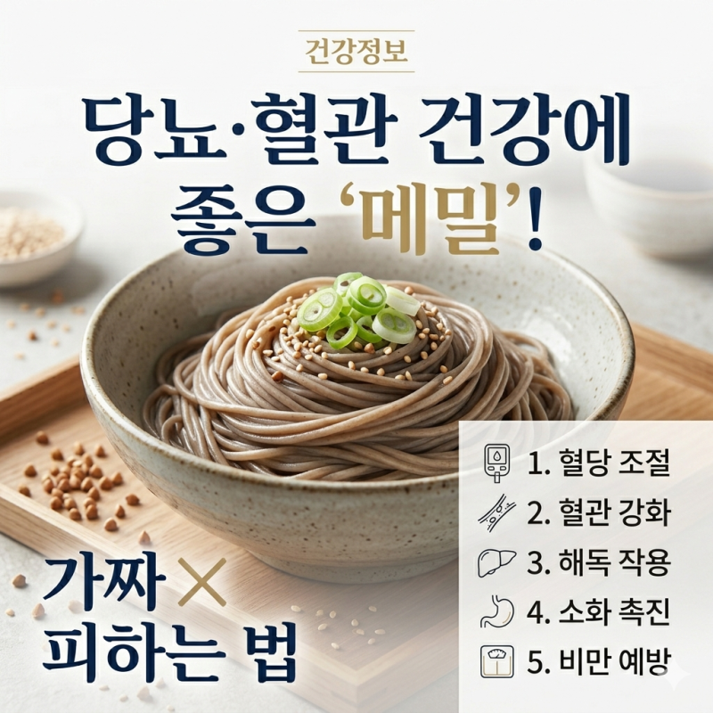 [건강정보] 당뇨·혈관 건강에 좋은 '메밀'의 진짜 효능 5가지 (ft. 가짜 메밀면 피하는 법)