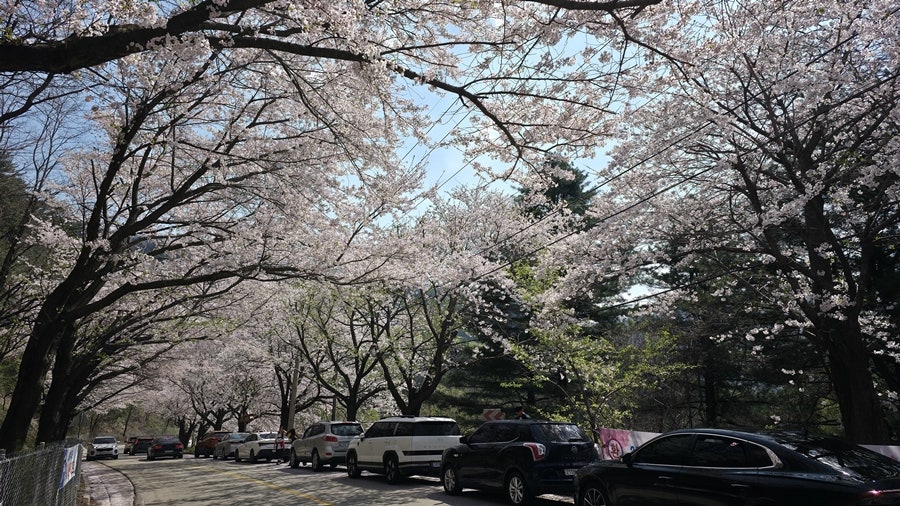 물안골 사진 2