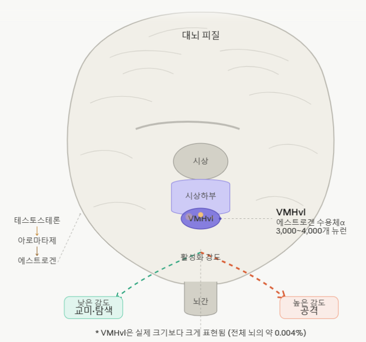  같은 뿌리, 다른 길 — 섹스와 폭력과 브라마차리아