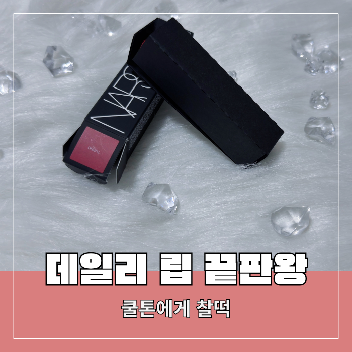  촉촉한 데일리 쿨톤립 추천 나스 애프터글로우 터보 발색 후기