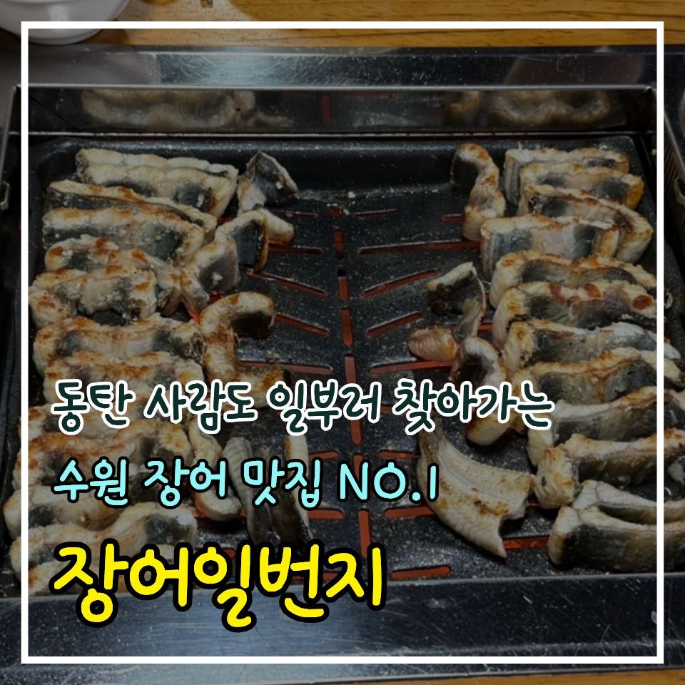 장어일번지 사진 1