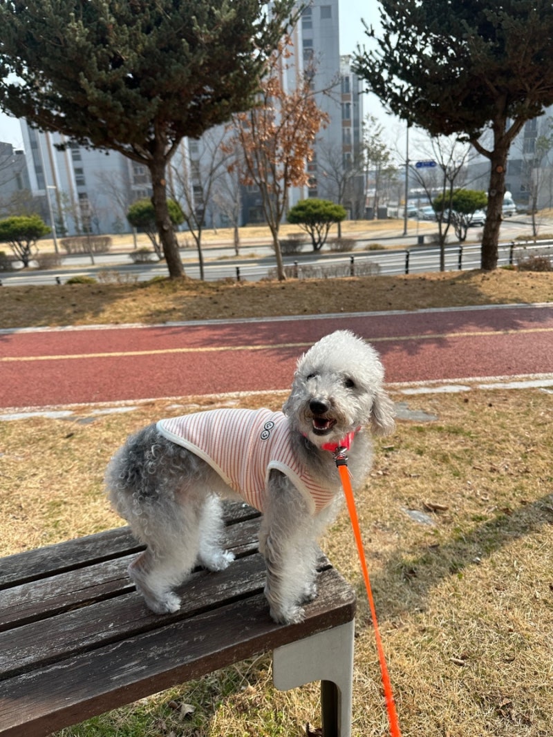사진 2