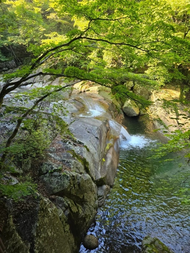 지리산 칠선계곡 2026 탐방예약 완벽 가이드 (5월 개방·하루 60명 한정)