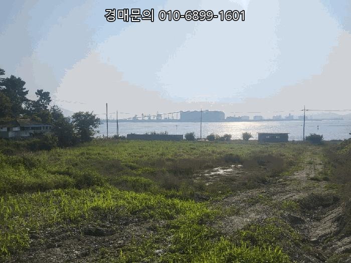  [전남 여수시 묘도동] 토지(답) 경매, 2025-461