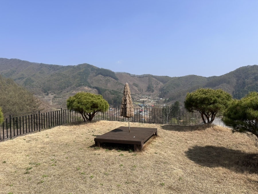 별숲 사진 4