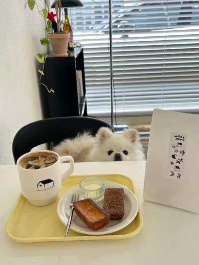 사진 6