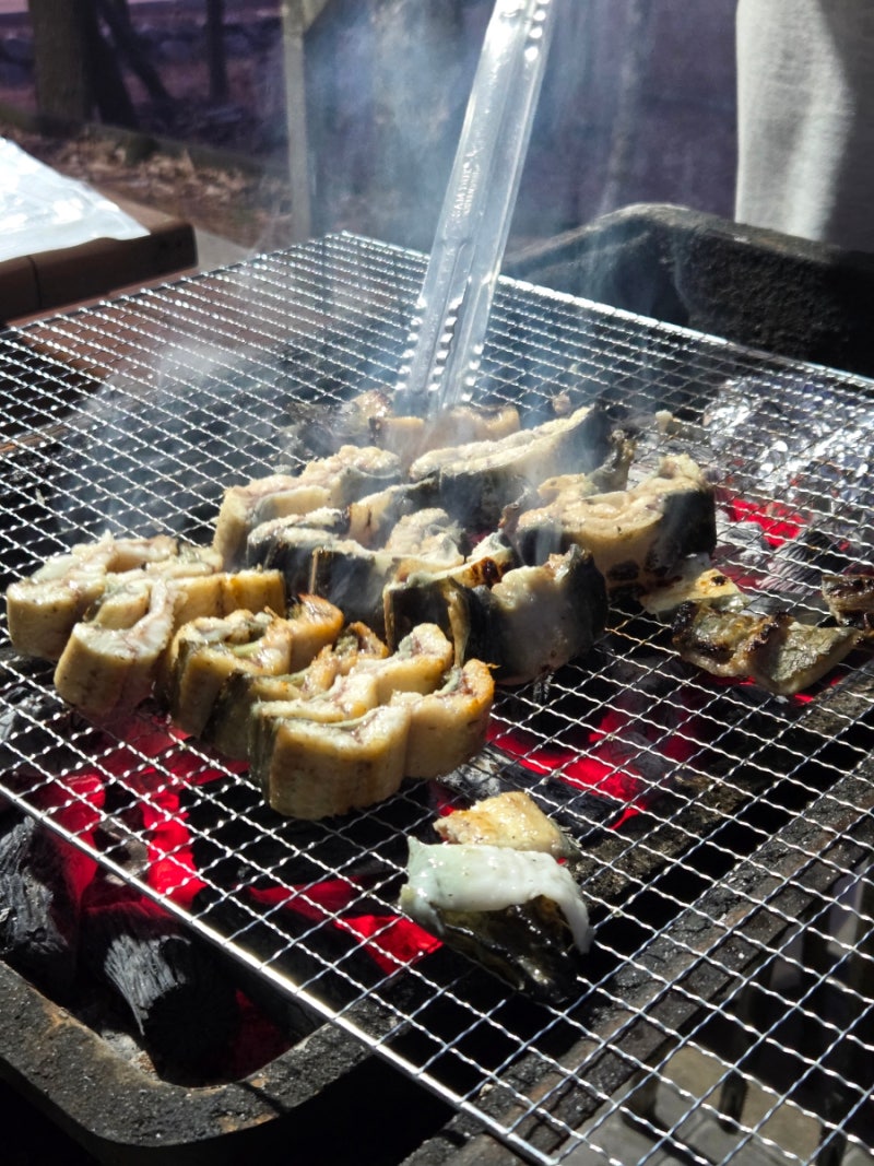 청주 캠핑, 휴양지 옥화자연휴양림 1박 2일 힐링여행 (잣나무 1호, 바베큐, 삼대장어, 대부도....