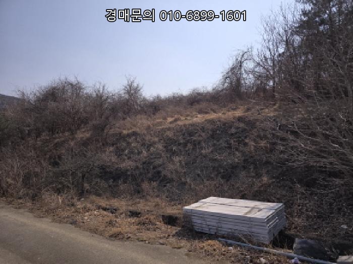  경상북도 영천시 북안면 신리리 임야 경매, 2025-525