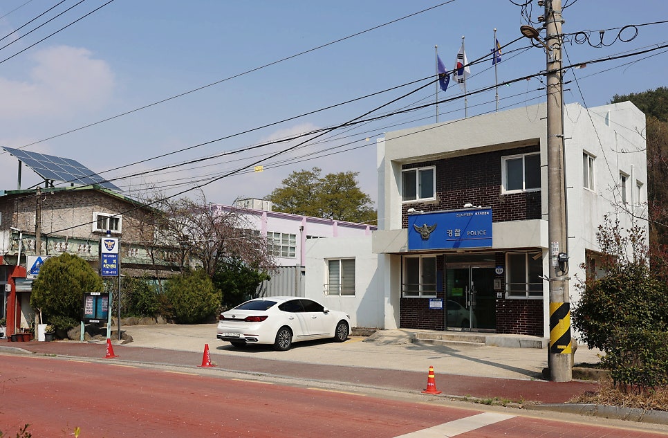 세지치안센터 사진 3