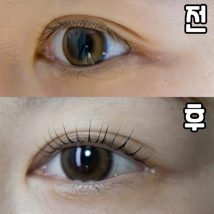  대구 범어동 속눈썹펌 뷰티연구소 인생펌 정착 후기