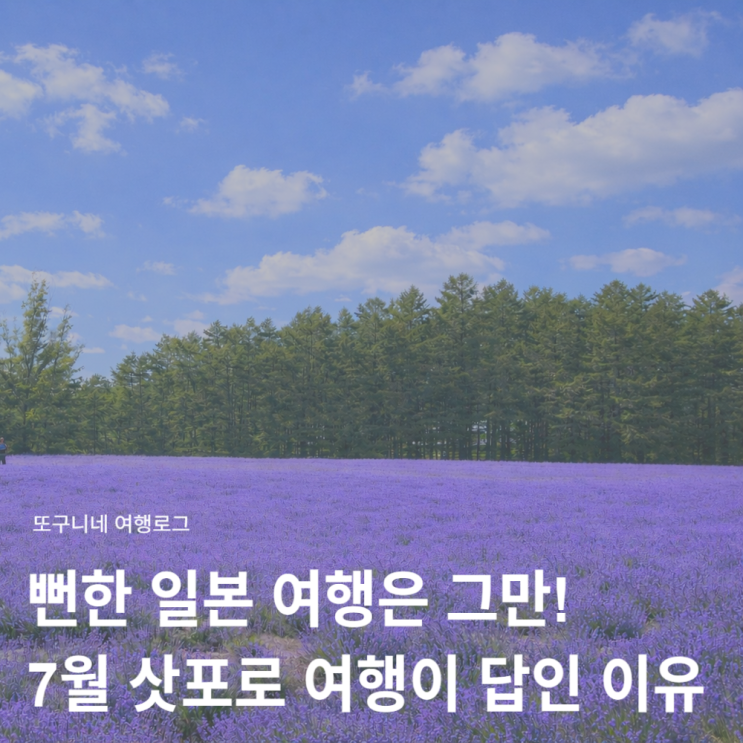  뻔한 일본 여행은 그만! 7월 삿포로 여행이 답인 이유