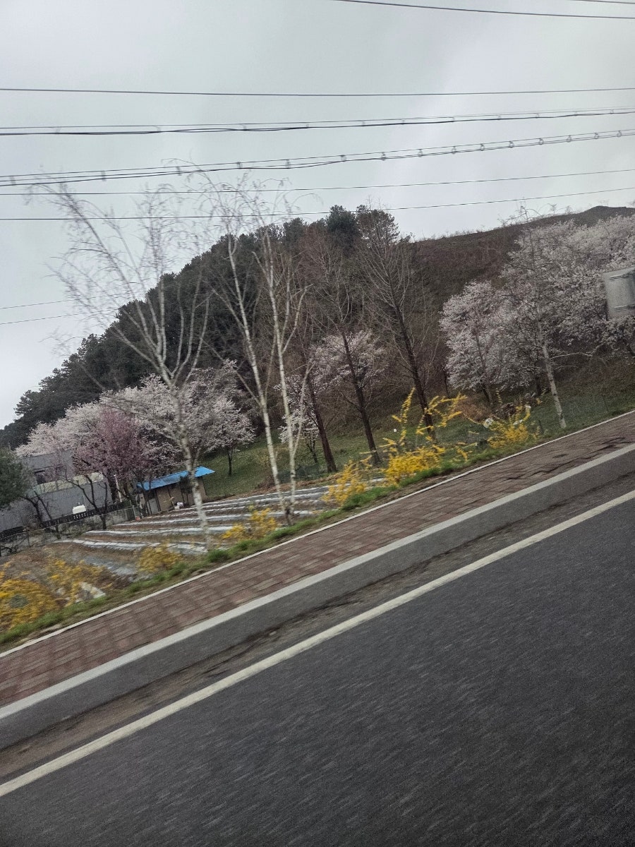 트래블리 호텔 사진 2