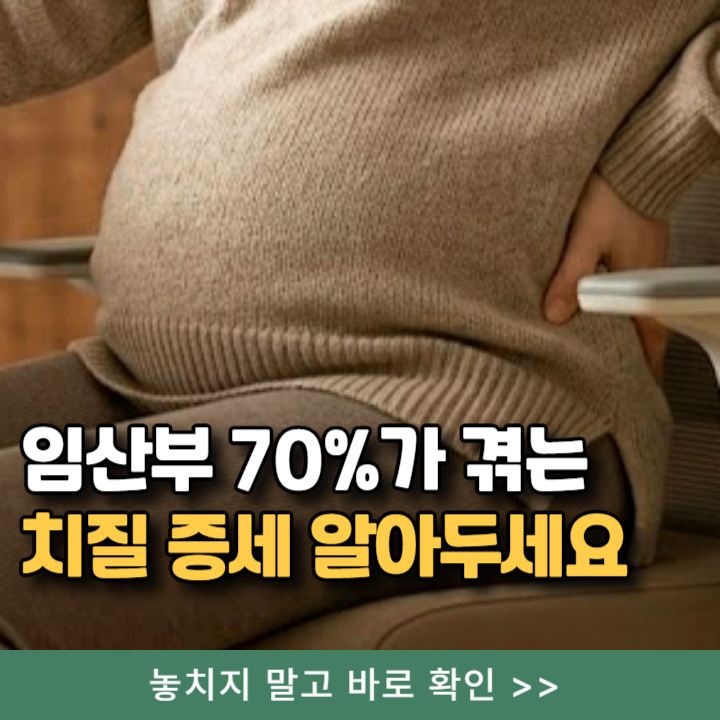 임산부 치질증세 초기증상 대처법, 몰랐으면 큰일날뻔