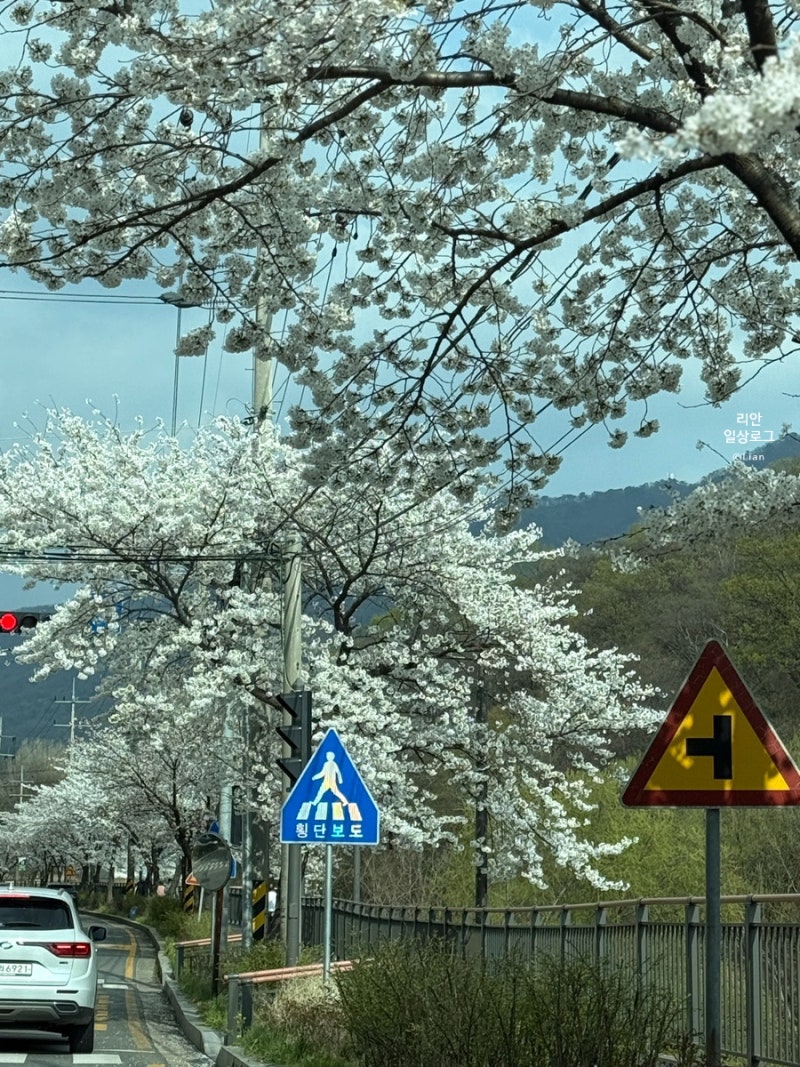 사진 3