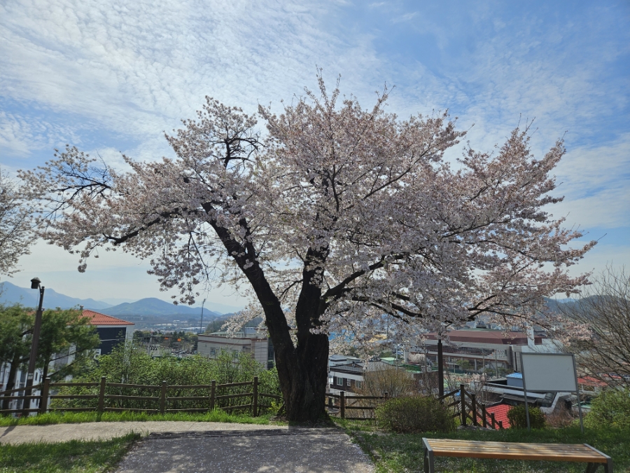 수도산 사진 6
