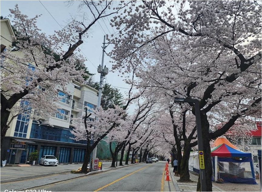 또랑가펜션 사진 3