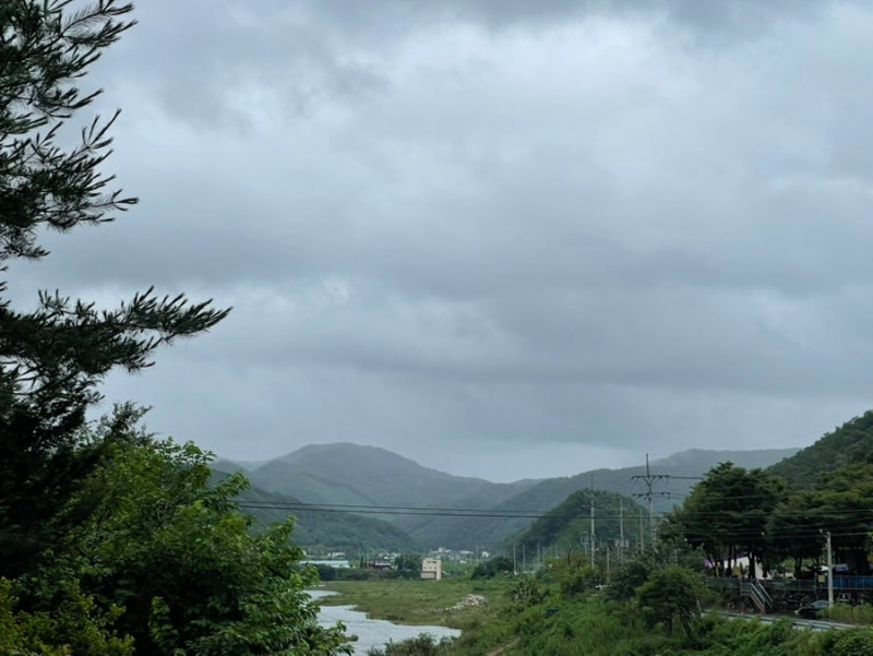 사진 6