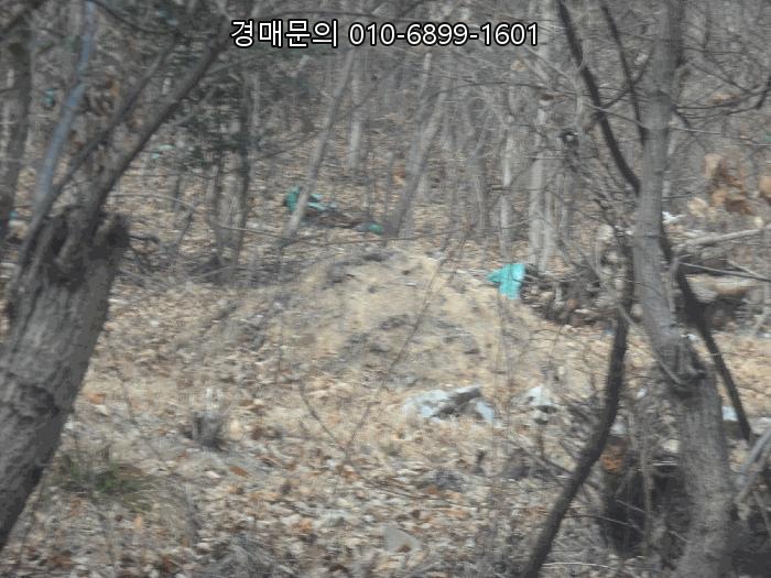  거제시 장목면 임야 경매, 2025-21068