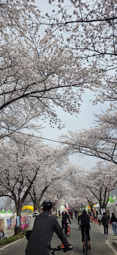 하림국수 사진 3