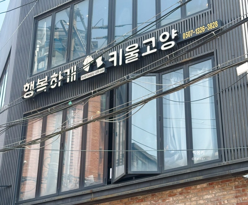 사진 5