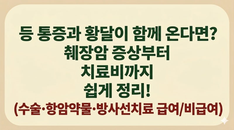 등 통증과 황달이 함께 온다면? 췌장암 증상부터 치료비까지 쉽게 정리!