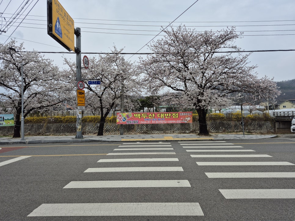 백두산대반점 사진 4