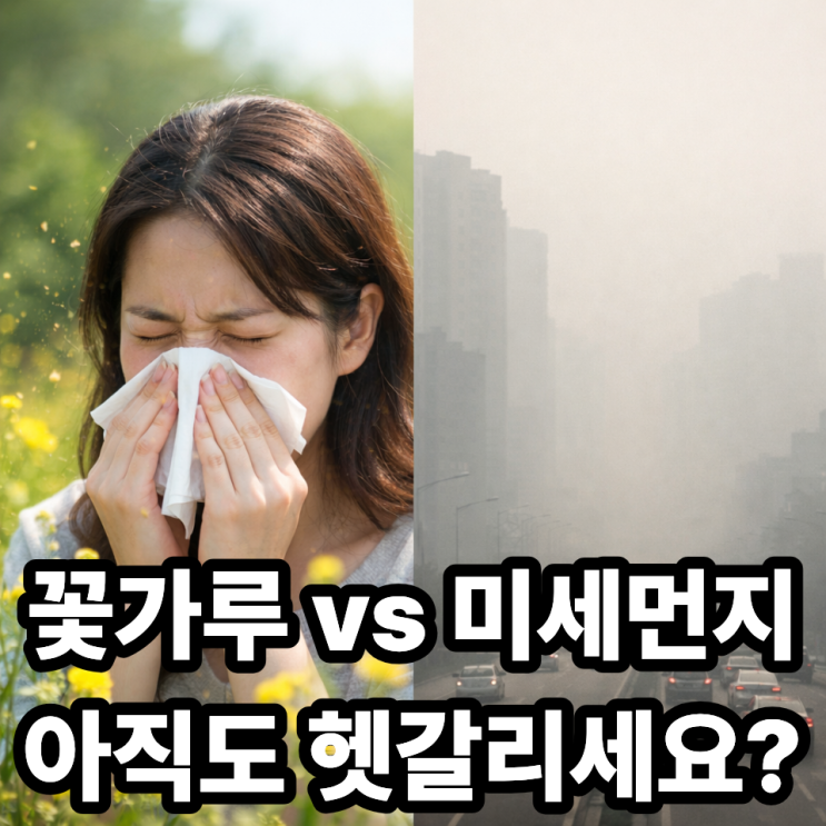  꽃가루 알레르기 vs 미세먼지 차이, 헷갈리지 말기 