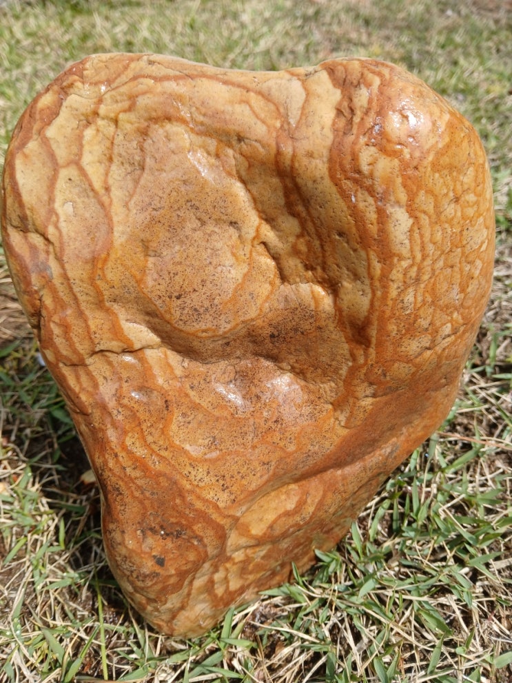  수석에 눈을 뜨게 해준 인제 내린천 목문석(Inje Naerincheon Wood-Grain Stone)