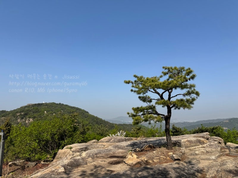 안양 비봉산 등산코스. 임곡공원-비봉산전망대-망해암-임곡마을-원점코스